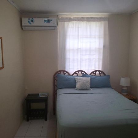 Dover Beach House Κράιστ Τσερτς Εξωτερικό φωτογραφία